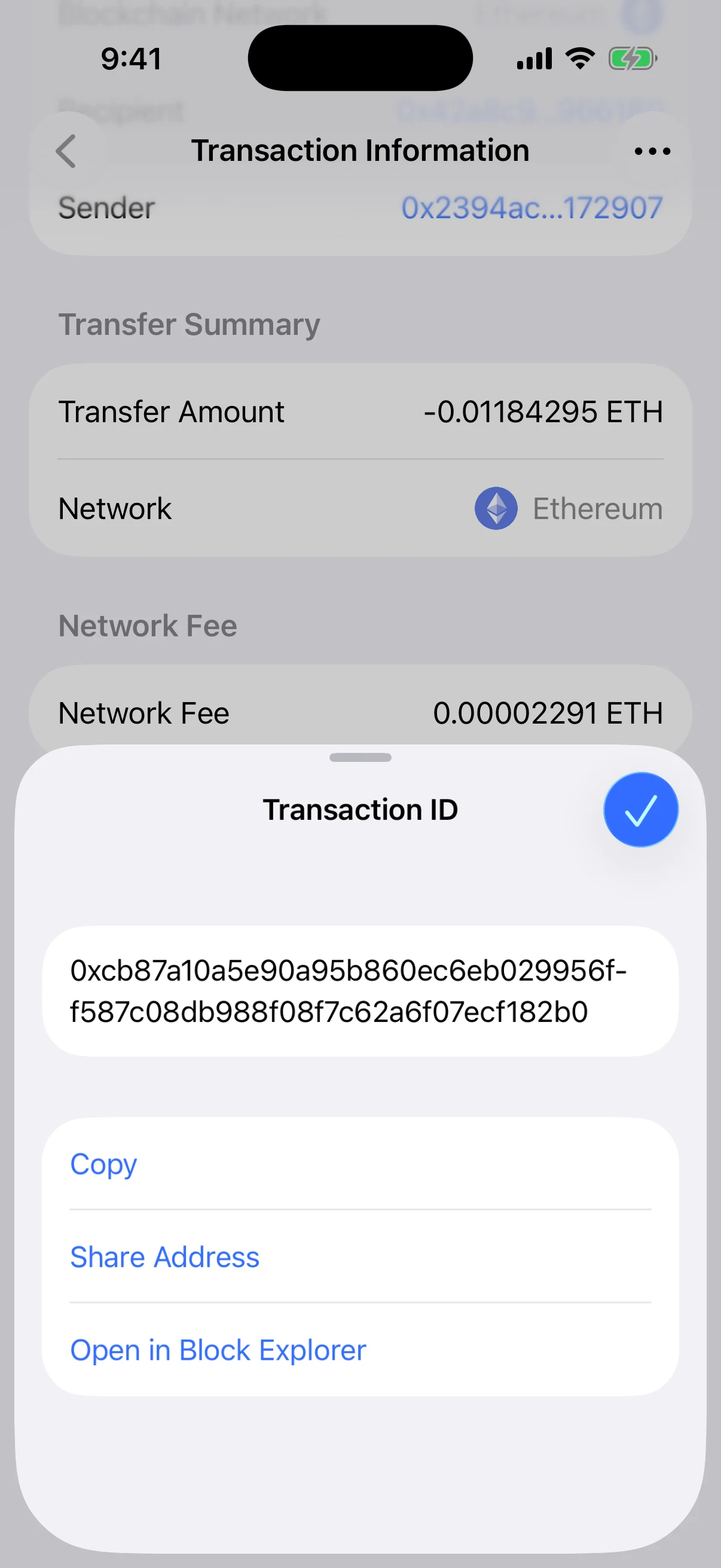 Real Oath Transaction ID sheet showing the complete public hash with copy, share, and block-explorer actions