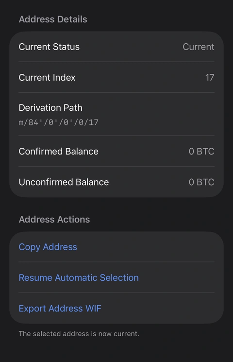 Cropped Oath details after index 17 becomes Current, showing Resume Automatic Selection.