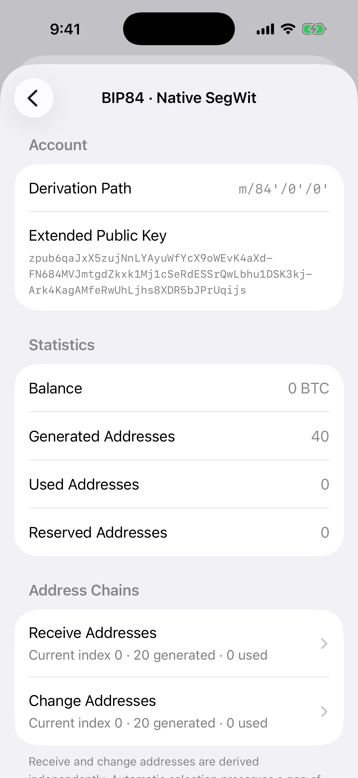Real Oath BIP84 account details in the iOS Simulator showing its account path, public descriptor, and separate receive and change chains