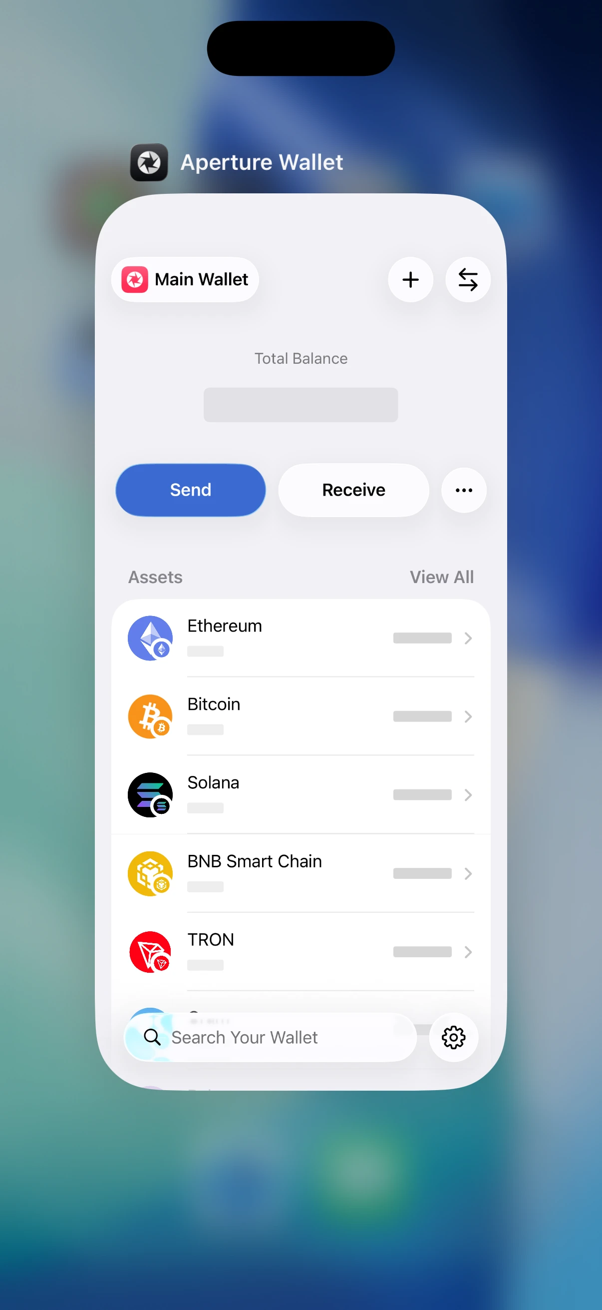 Real iOS Simulator app switcher showing Oath balances replaced by neutral privacy placeholders