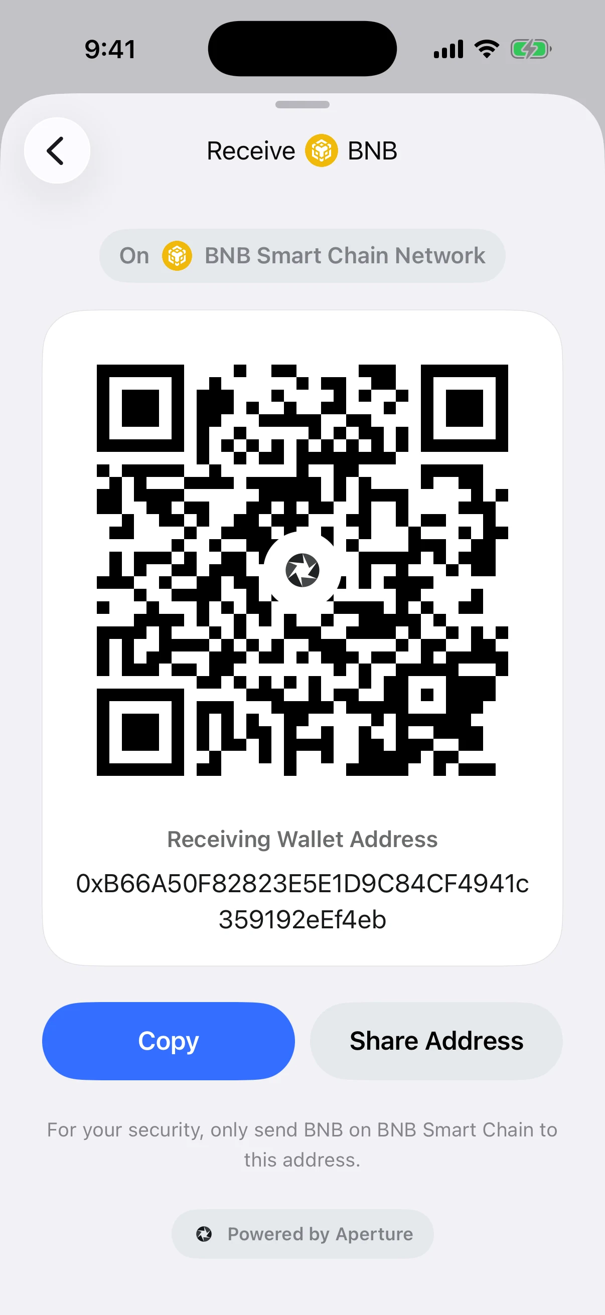 Real Oath BNB receive screen in the iOS Simulator with an explicit BNB Smart Chain Network label and the same validated EVM test address